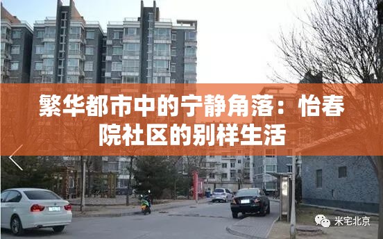 繁华都市中的宁静角落：怡春院社区的别样生活