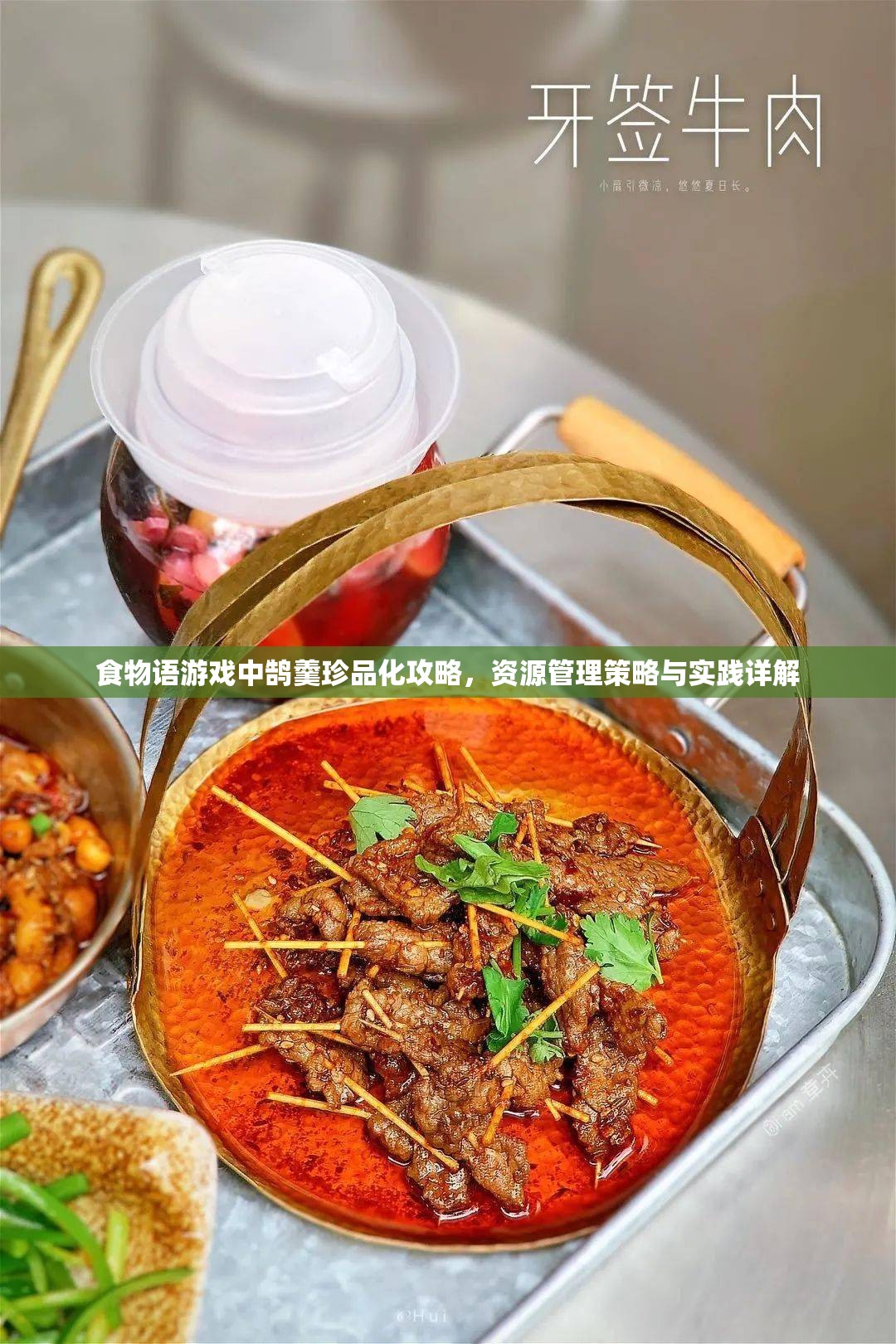 食物语游戏中鹄羹珍品化攻略，资源管理策略与实践详解