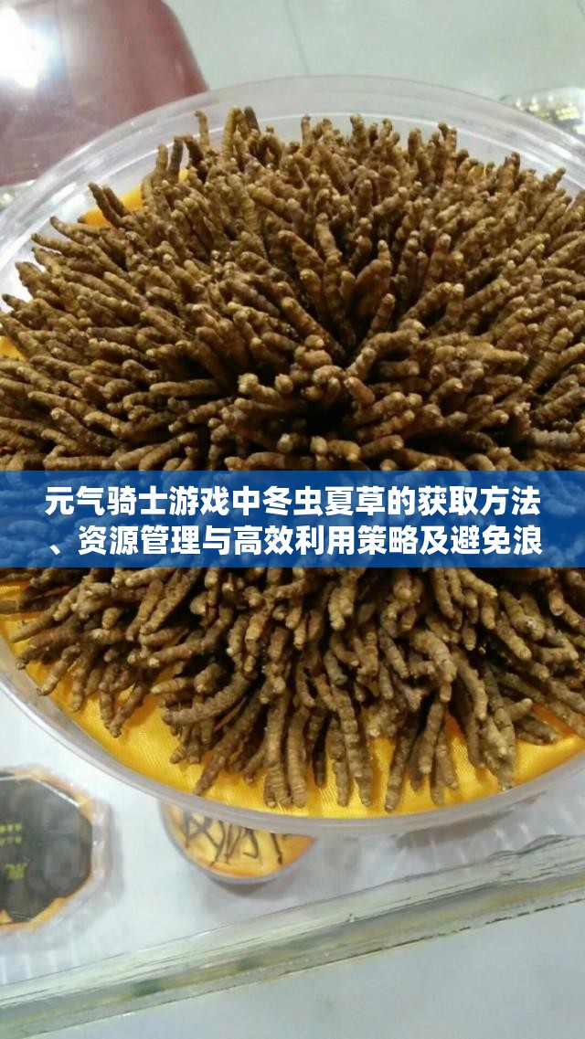 元气骑士游戏中冬虫夏草的获取方法、资源管理与高效利用策略及避免浪费技巧