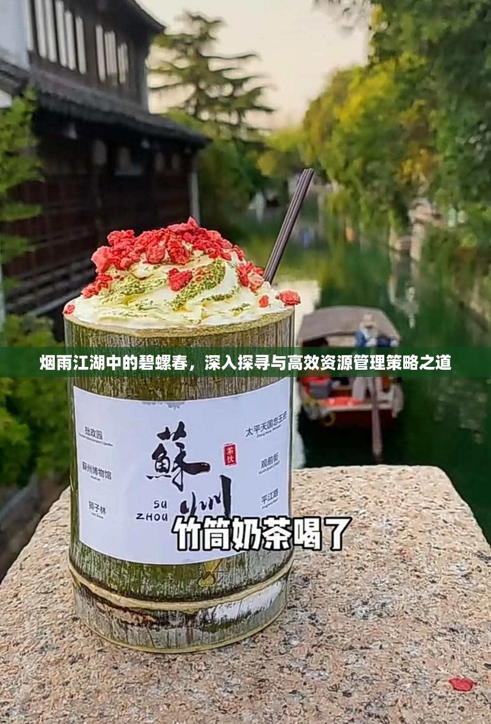烟雨江湖中的碧螺春，深入探寻与高效资源管理策略之道