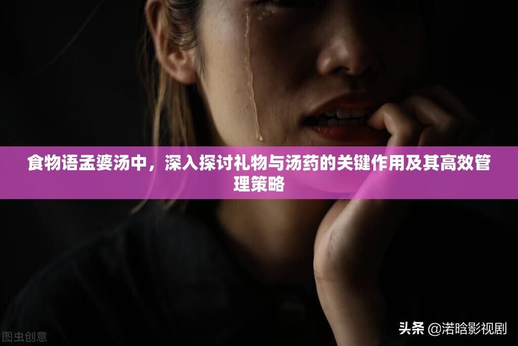 食物语孟婆汤中，深入探讨礼物与汤药的关键作用及其高效管理策略