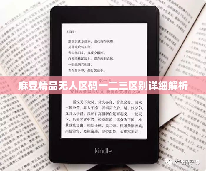 麻豆精品无人区码一二三区别详细解析