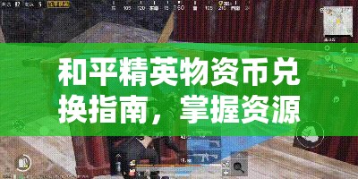 和平精英物资币兑换指南，掌握资源管理技巧，实现高效使用与最大化价值