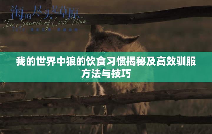 我的世界中狼的饮食习惯揭秘及高效驯服方法与技巧