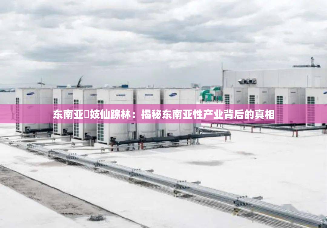 东南亚婎妓仙踪林：揭秘东南亚性产业背后的真相