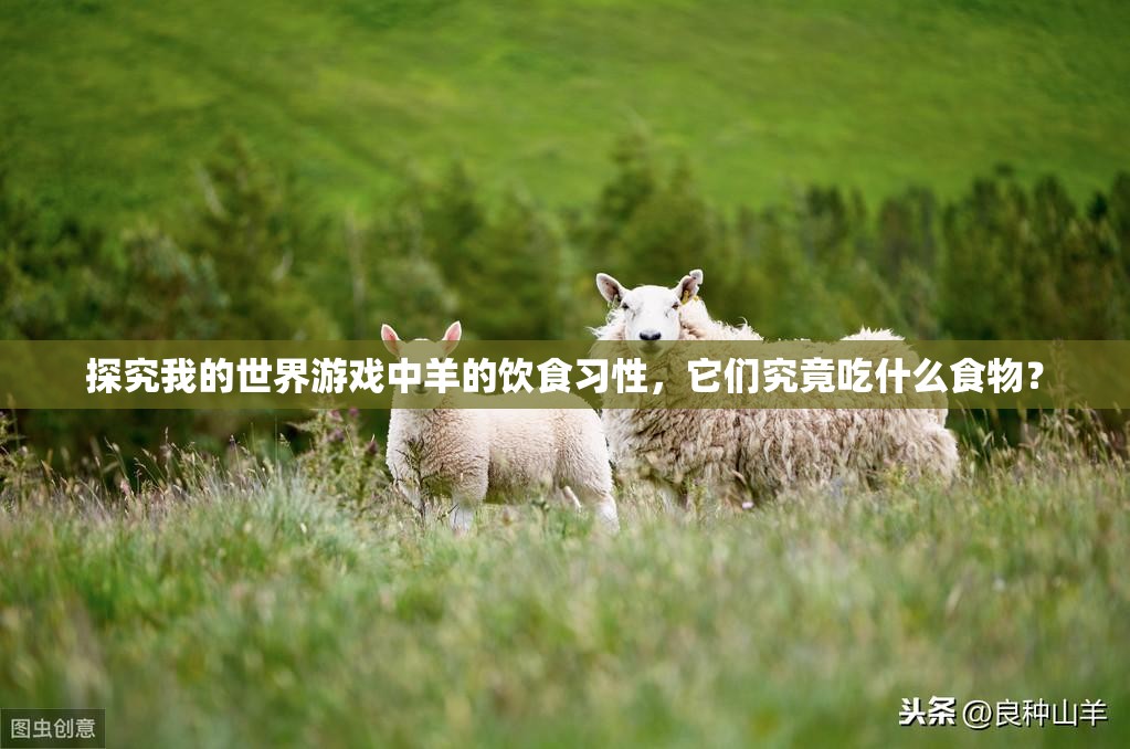 探究我的世界游戏中羊的饮食习性，它们究竟吃什么食物？