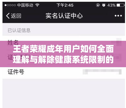 王者荣耀成年用户如何全面理解与解除健康系统限制的详细指南