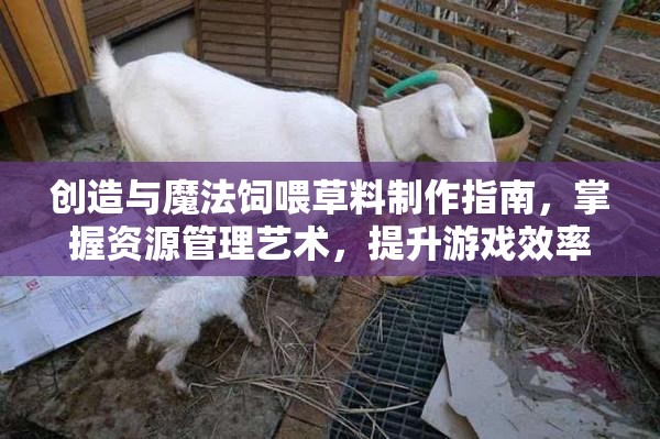 创造与魔法饲喂草料制作指南，掌握资源管理艺术，提升游戏效率