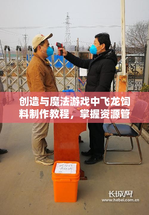 创造与魔法游戏中飞龙饲料制作教程，掌握资源管理艺术，轻松制作高效饲料