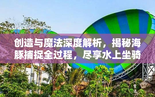 创造与魔法深度解析，揭秘海豚捕捉全过程，尽享水上坐骑的独特魅力与风采