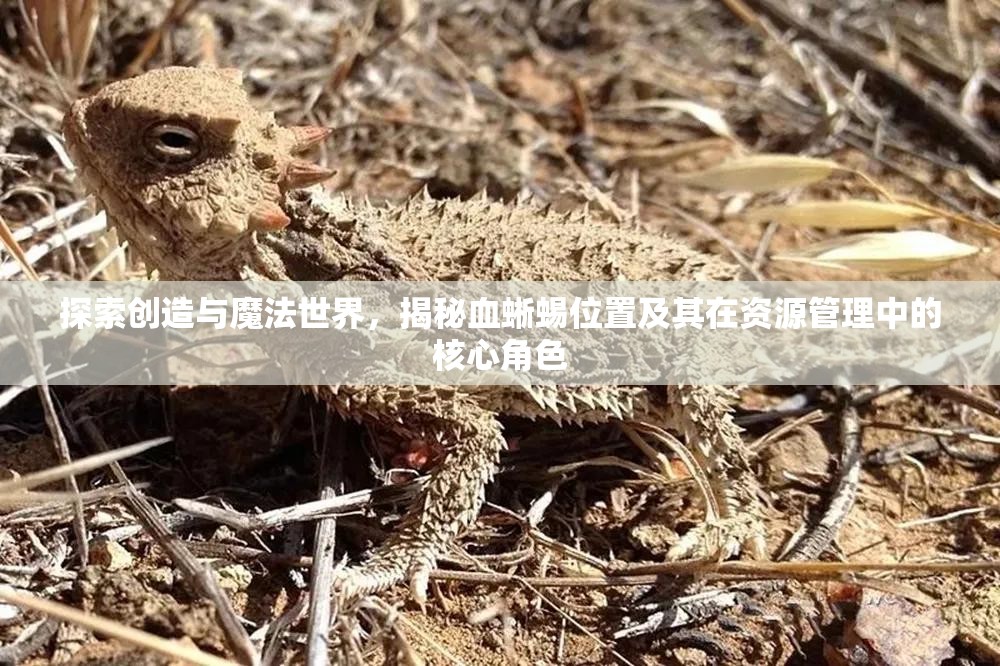 探索创造与魔法世界，揭秘血蜥蜴位置及其在资源管理中的核心角色