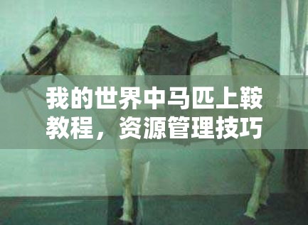 我的世界中马匹上鞍教程，资源管理技巧、避免浪费策略以最大化马匹使用价值
