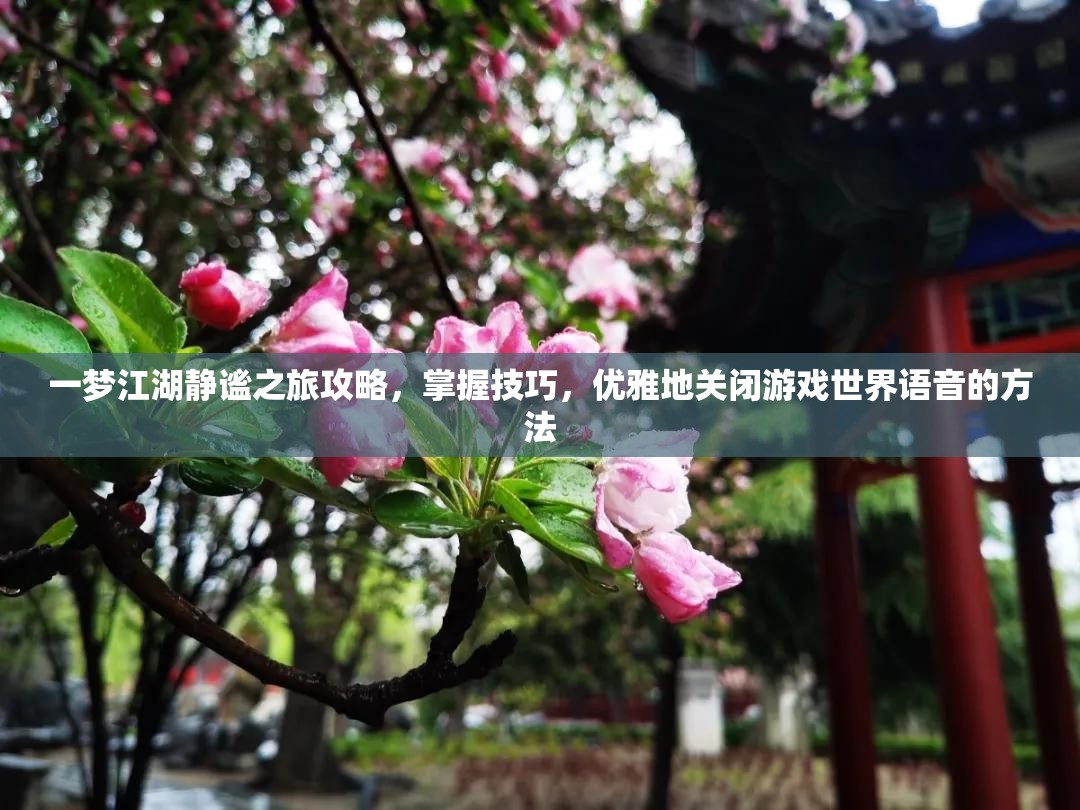 一梦江湖静谧之旅攻略，掌握技巧，优雅地关闭游戏世界语音的方法