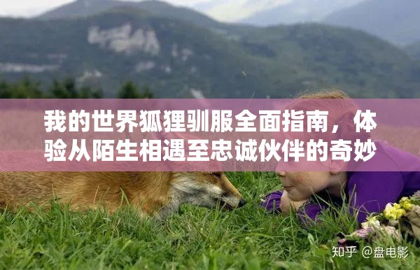 我的世界狐狸驯服全面指南，体验从陌生相遇至忠诚伙伴的奇妙旅程