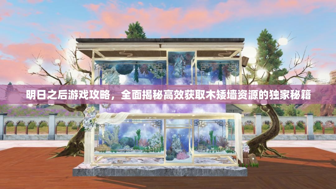 明日之后游戏攻略，全面揭秘高效获取木矮墙资源的独家秘籍