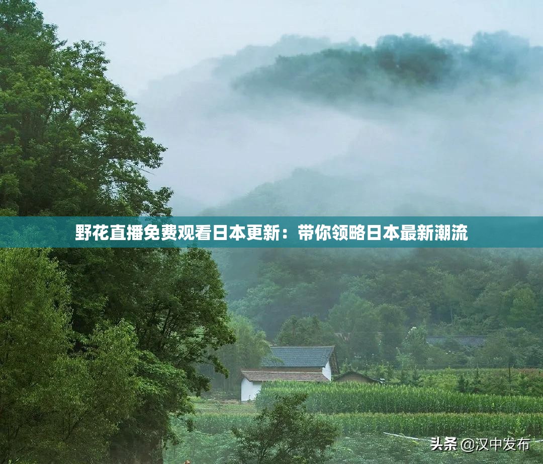 野花直播免费观看日本更新：带你领略日本最新潮流