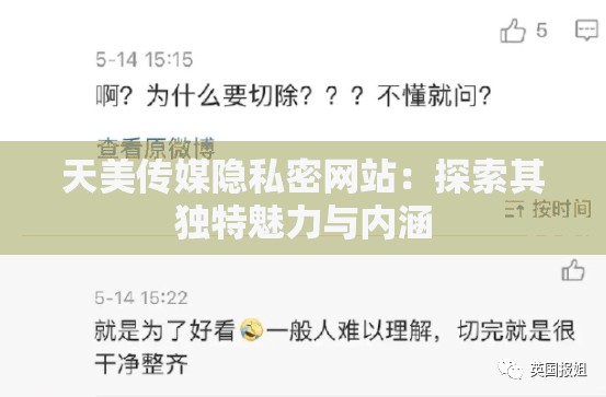 天美传媒隐私密网站：探索其独特魅力与内涵