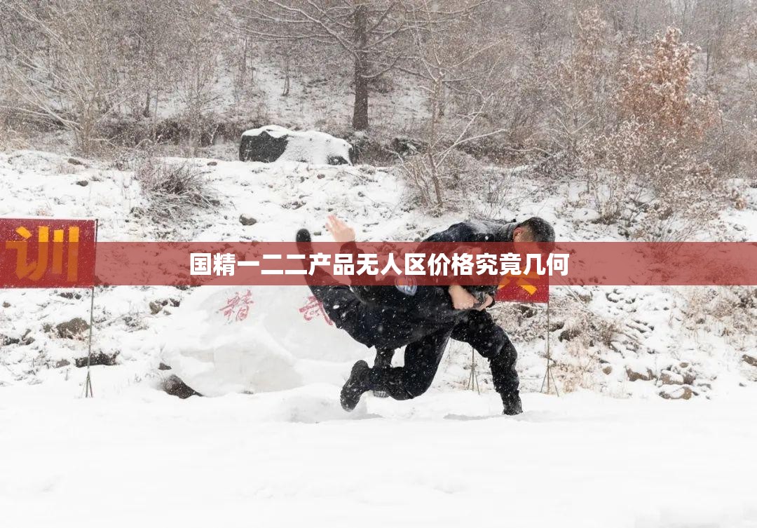 国精一二二产品无人区价格究竟几何
