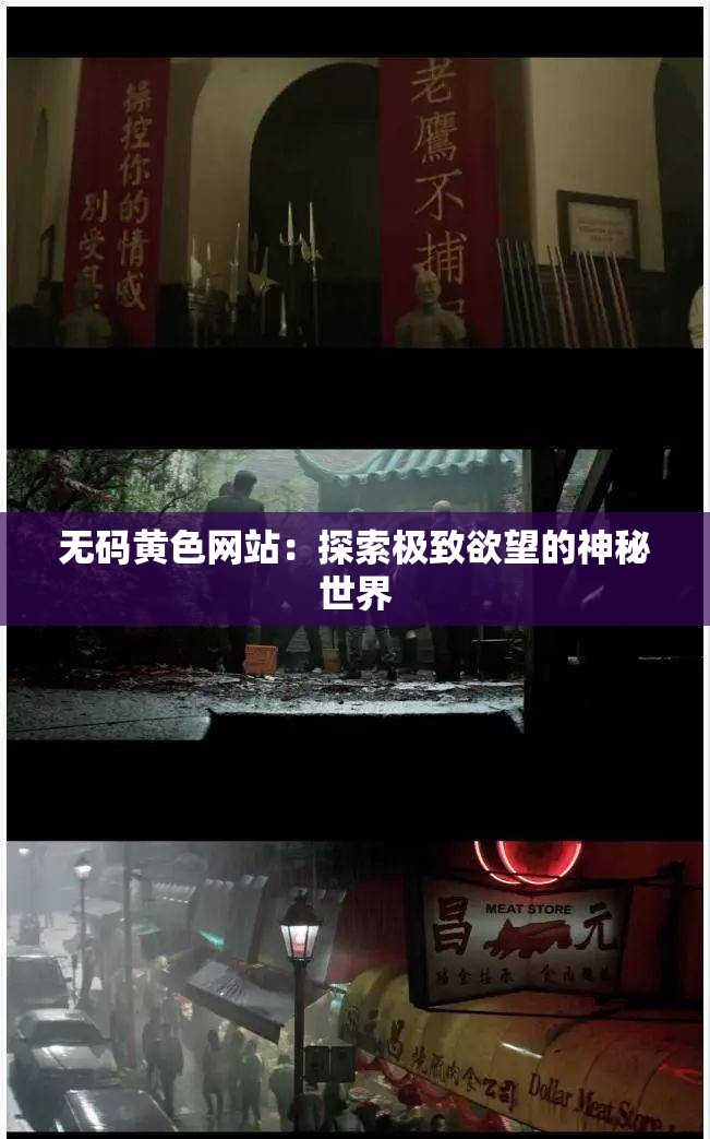 无码黄色网站：探索极致欲望的神秘世界