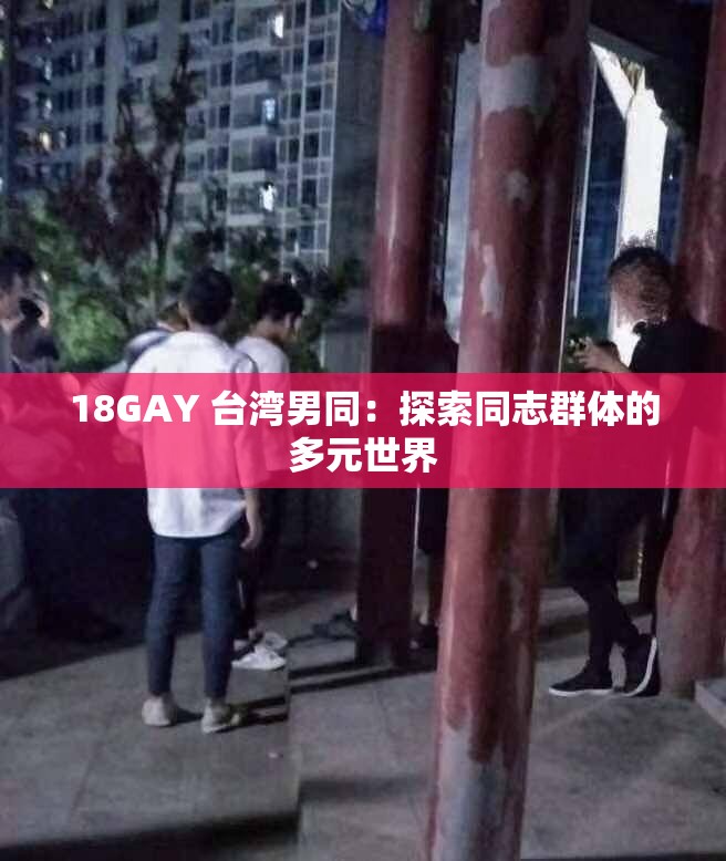 18GAY 台湾男同：探索同志群体的多元世界