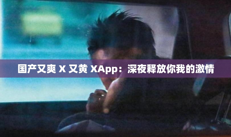 国产又爽 X 又黄 XApp：深夜释放你我的激情