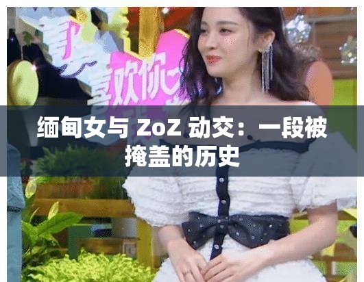 缅甸女与 ZoZ 动交：一段被掩盖的历史