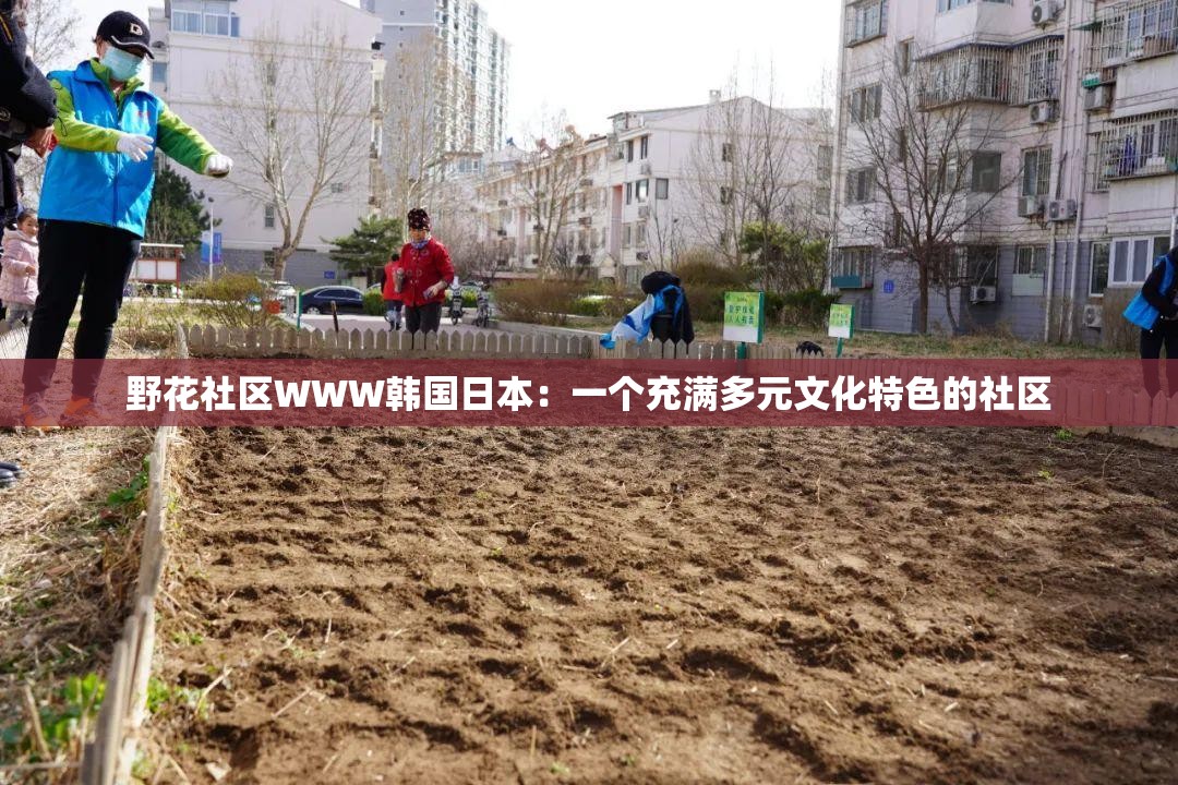 野花社区WWW韩国日本：一个充满多元文化特色的社区