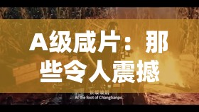 A级咸片：那些令人震撼的精彩片段呈现