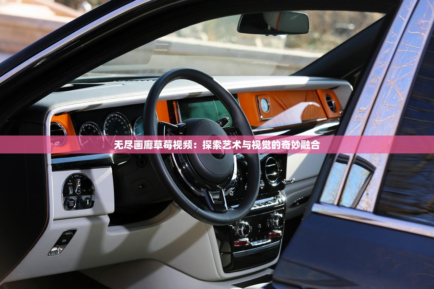 无尽画廊草莓视频：探索艺术与视觉的奇妙融合