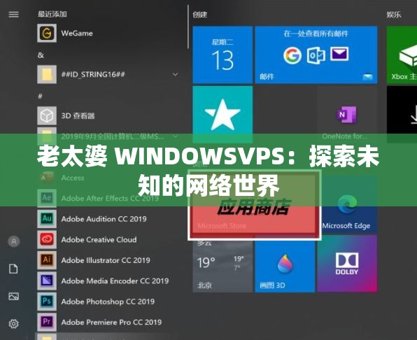 老太婆 WINDOWSVPS：探索未知的网络世界