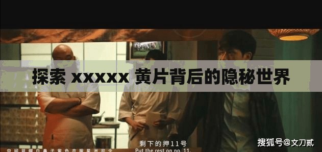 探索 xxxxx 黄片背后的隐秘世界