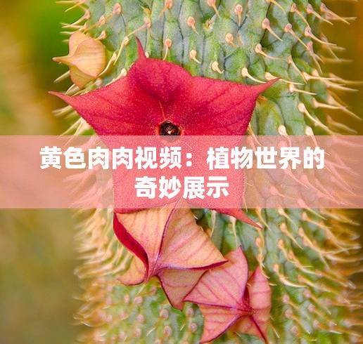 黄色肉肉视频：植物世界的奇妙展示