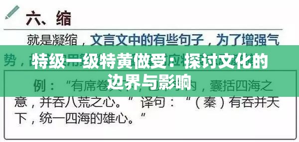 特级一级特黄做受：探讨文化的边界与影响