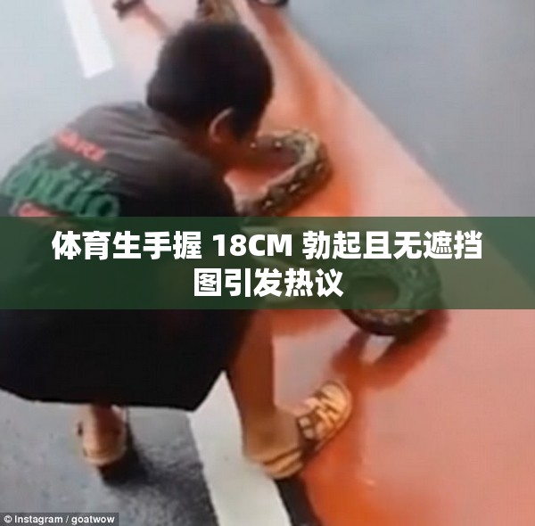 体育生手握 18CM 勃起且无遮挡图引发热议