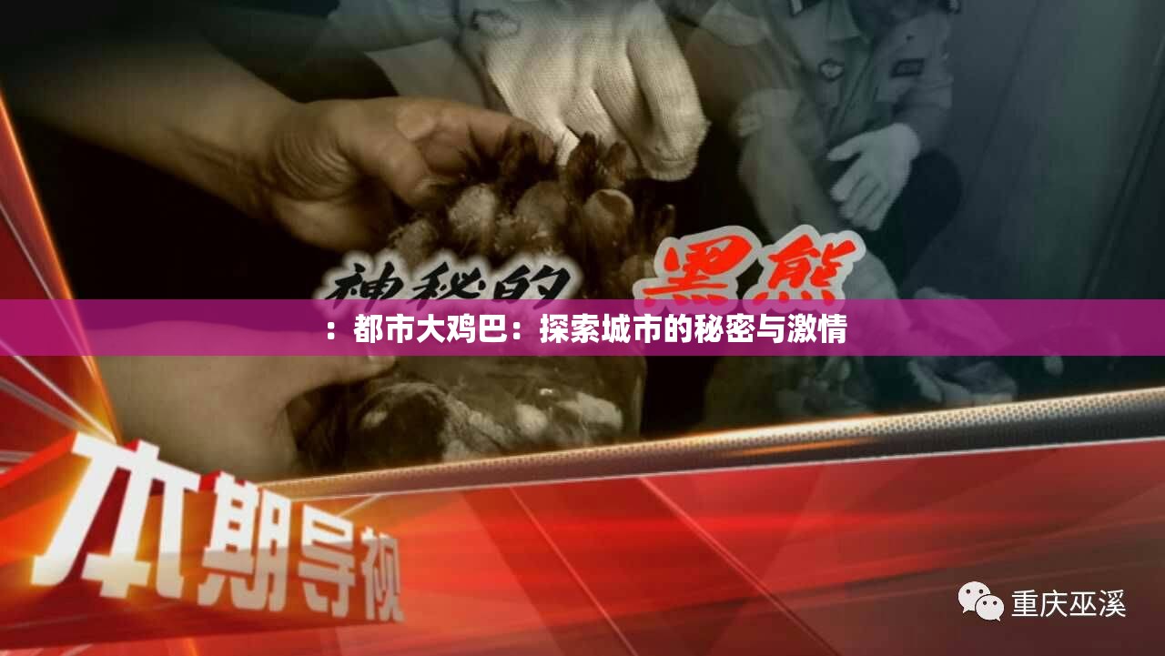 ：都市大鸡巴：探索城市的秘密与激情
