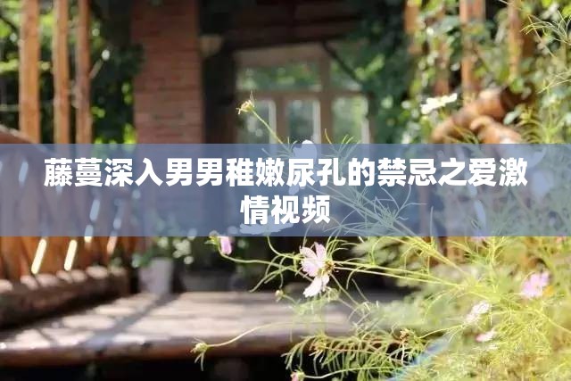 藤蔓深入男男稚嫩尿孔的禁忌之爱激情视频