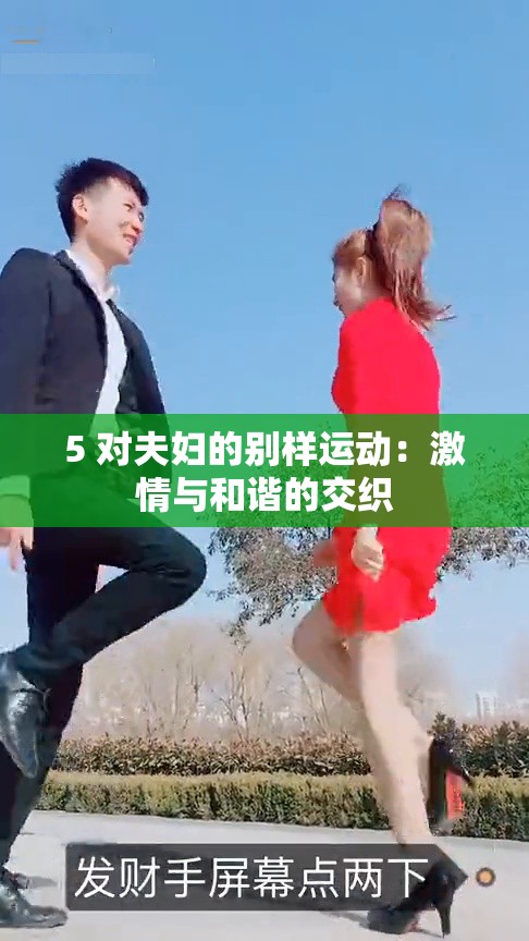 5 对夫妇的别样运动：激情与和谐的交织
