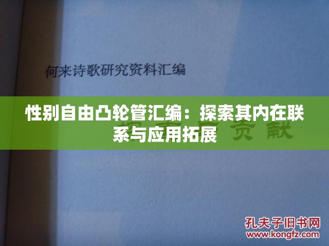 性别自由凸轮管汇编：探索其内在联系与应用拓展