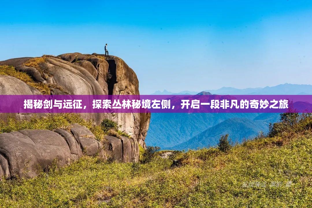 揭秘剑与远征，探索丛林秘境左侧，开启一段非凡的奇妙之旅