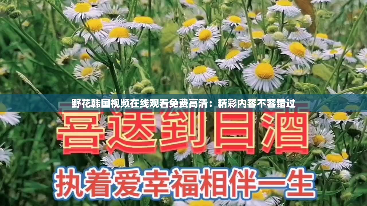 野花韩国视频在线观看免费高清：精彩内容不容错过