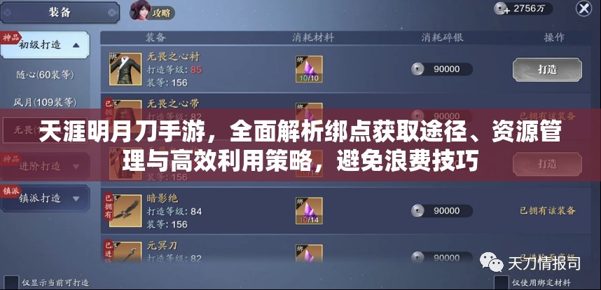 天涯明月刀手游，全面解析绑点获取途径、资源管理与高效利用策略，避免浪费技巧