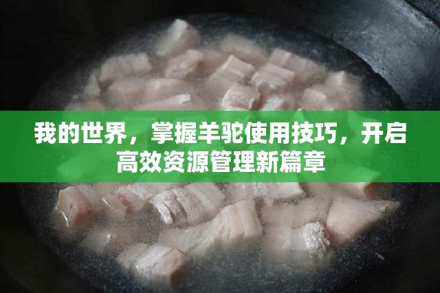 我的世界，掌握羊驼使用技巧，开启高效资源管理新篇章