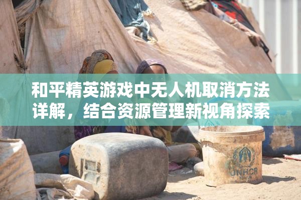 和平精英游戏中无人机取消方法详解，结合资源管理新视角探索实战技巧