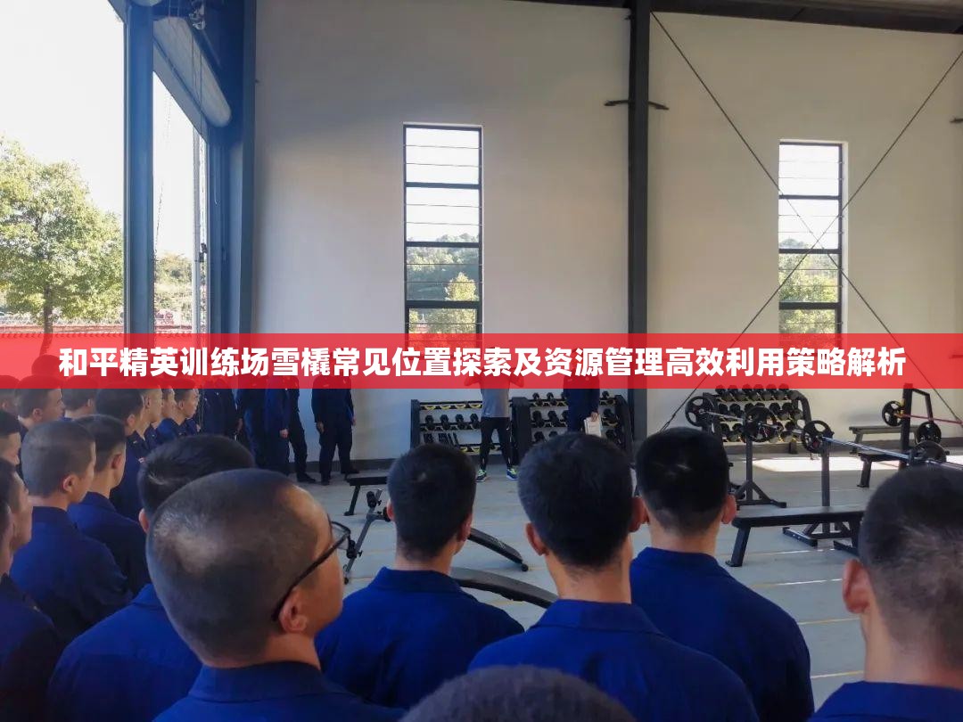 和平精英训练场雪橇常见位置探索及资源管理高效利用策略解析