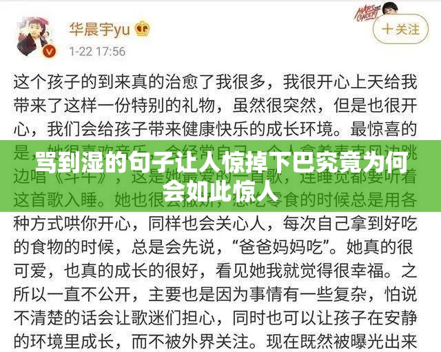 骂到湿的句子让人惊掉下巴究竟为何会如此惊人