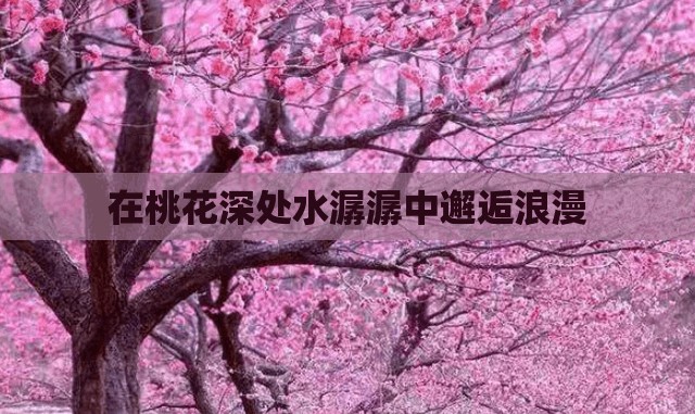 在桃花深处水潺潺中邂逅浪漫