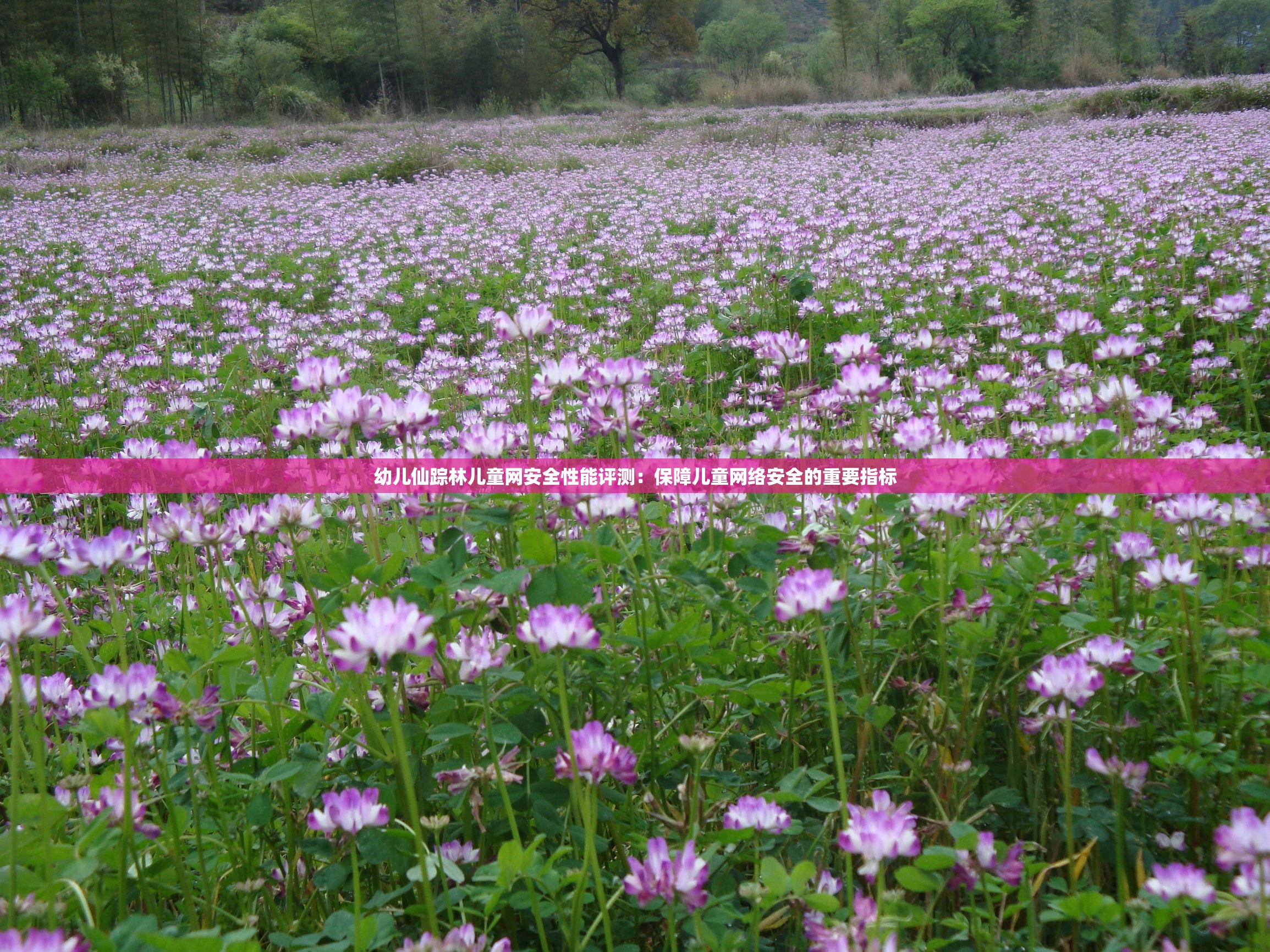 幼儿仙踪林儿童网安全性能评测：保障儿童网络安全的重要指标