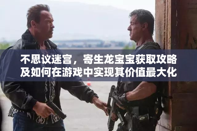 不思议迷宫，寄生龙宝宝获取攻略及如何在游戏中实现其价值最大化策略