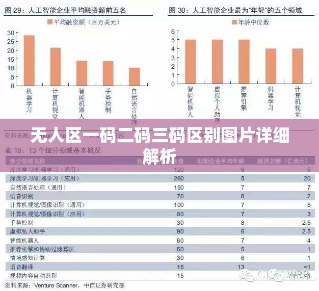 无人区一码二码三码区别图片详细解析