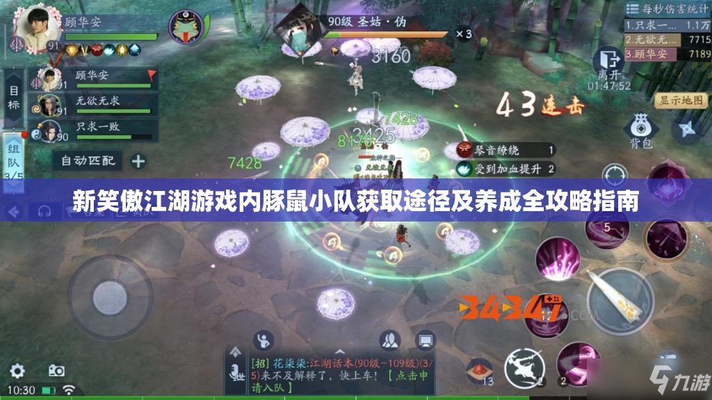 新笑傲江湖游戏内豚鼠小队获取途径及养成全攻略指南